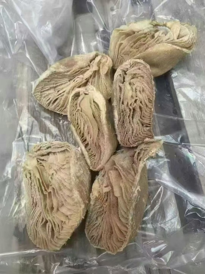 牛百叶