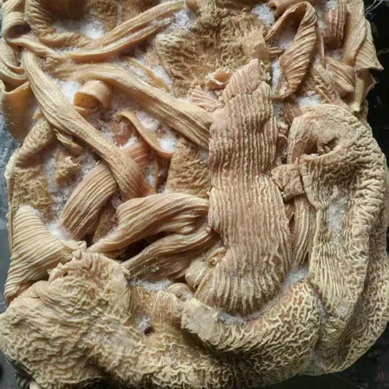 牛大肠