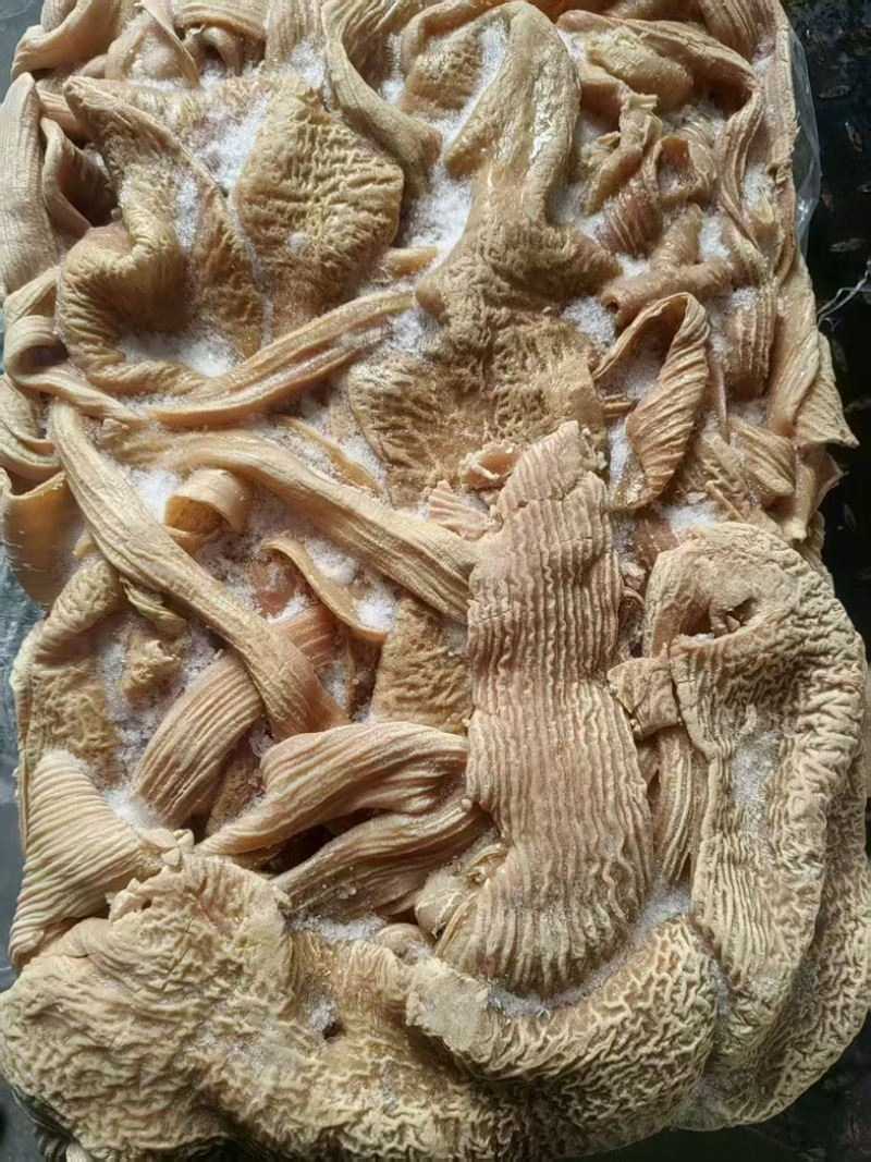 牛大肠