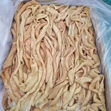 牛小肠