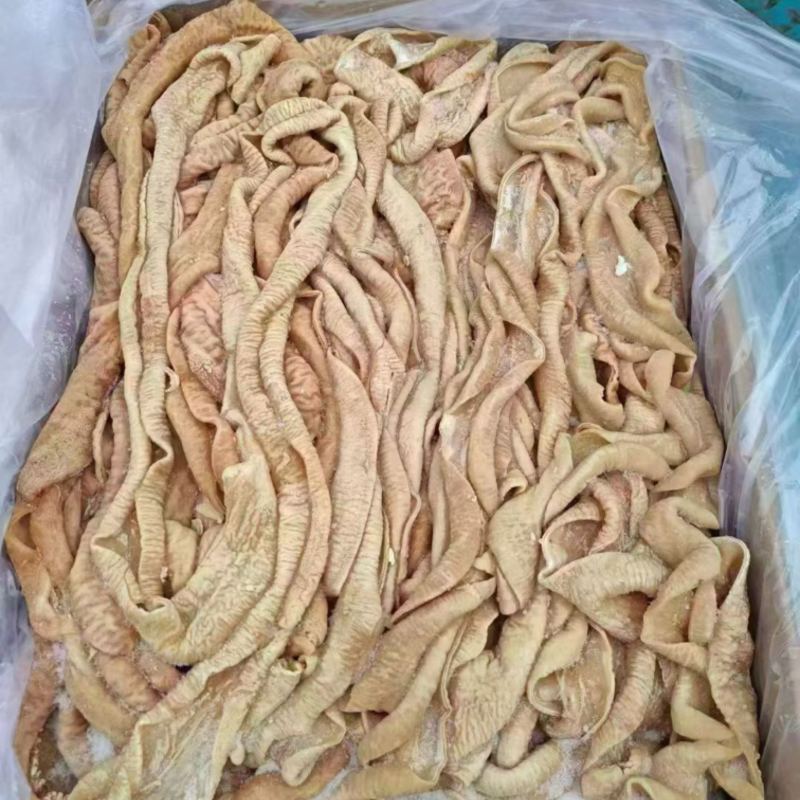 牛小肠