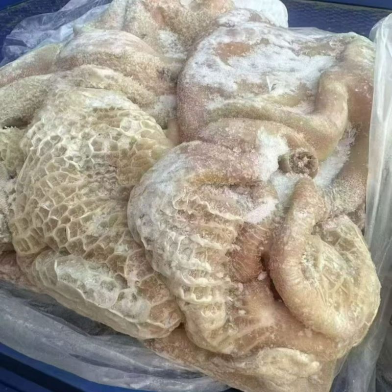 牛肚