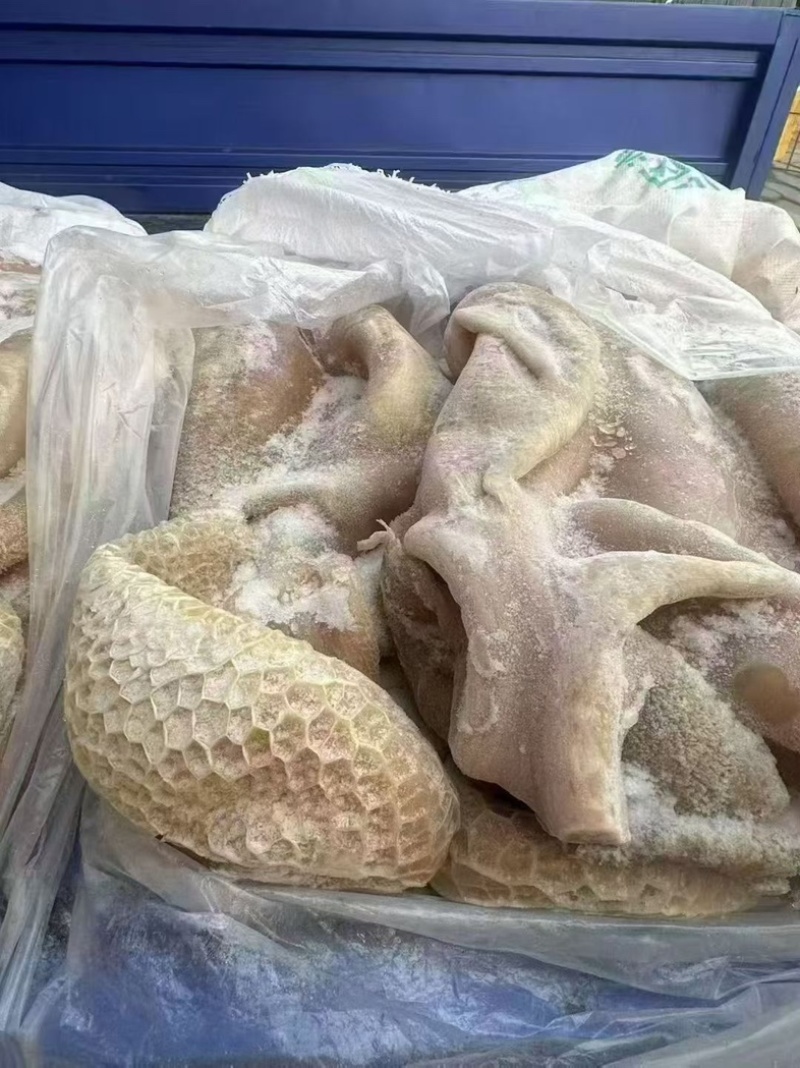 牛肚