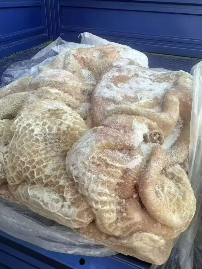 牛肚