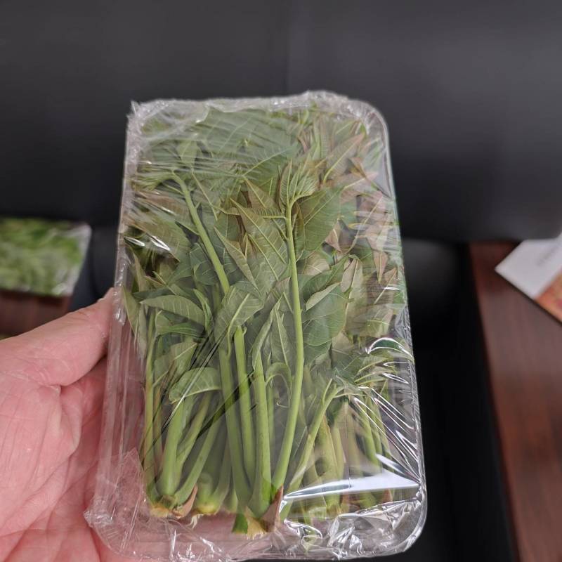 大棚反季节种植香椿芽儿基地直供