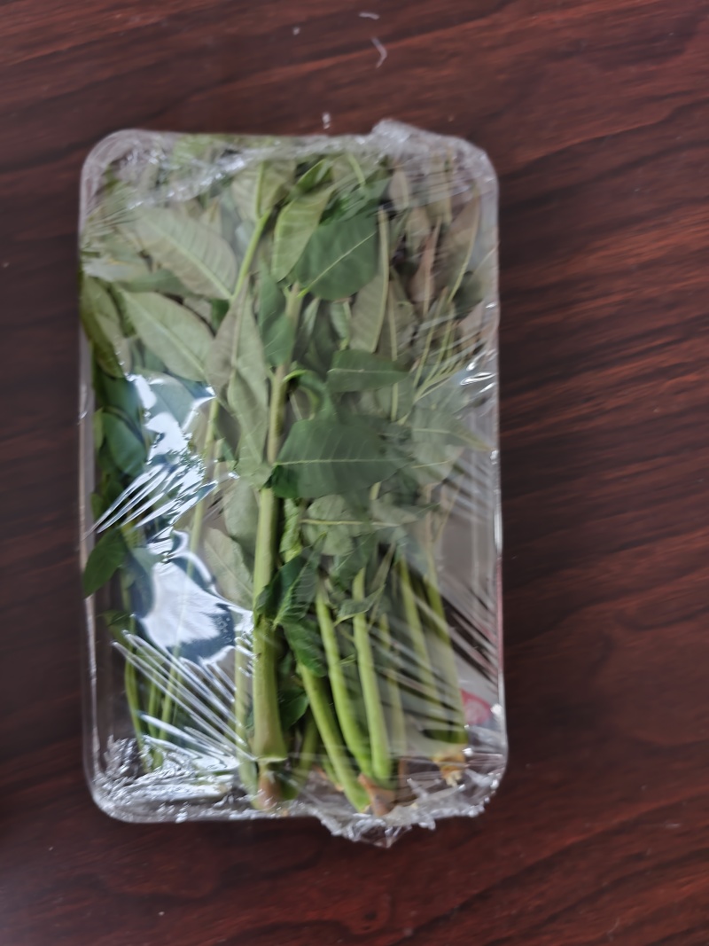 大棚反季节种植香椿芽儿基地直供
