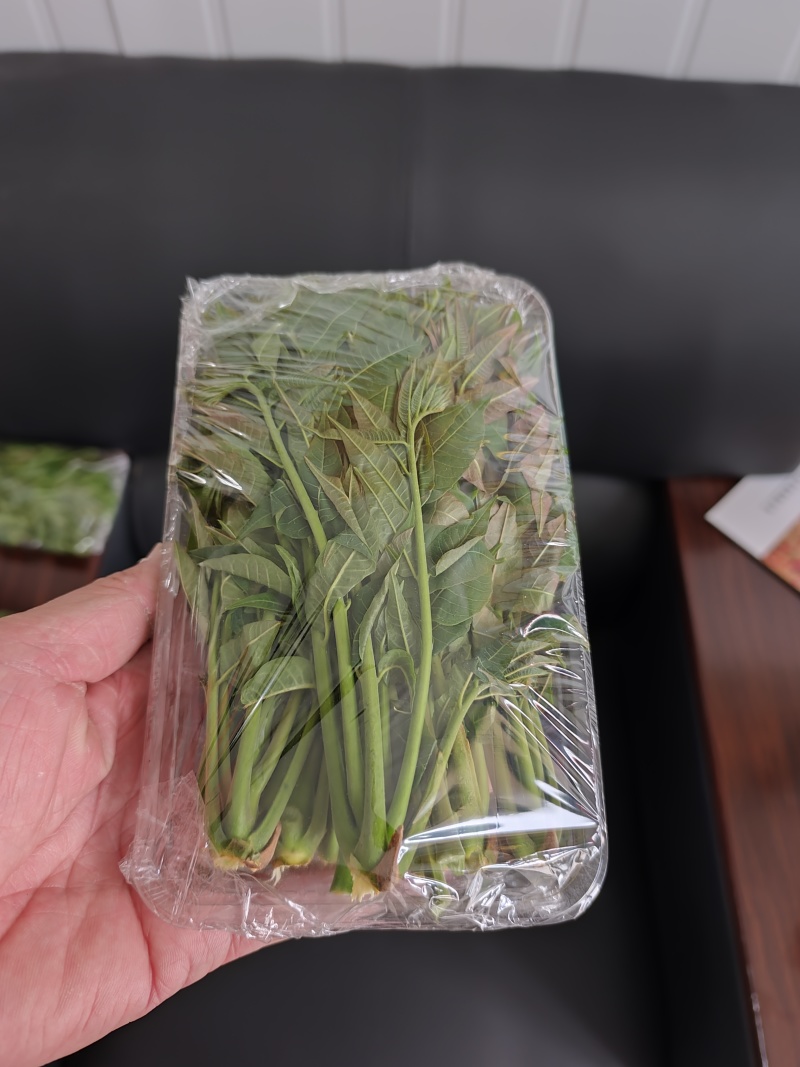 大棚反季节种植香椿芽儿基地直供