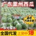 精选《美都西瓜》安徽砀山精品美都西瓜/包熟包甜/全国发货