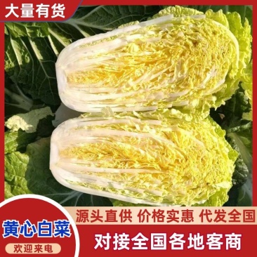 黄心大白菜，产地直发，品质保证，货源充足稳定，欢迎来电