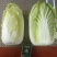 精品黄心大白菜产地发货质量保证诚信经营欢迎咨询