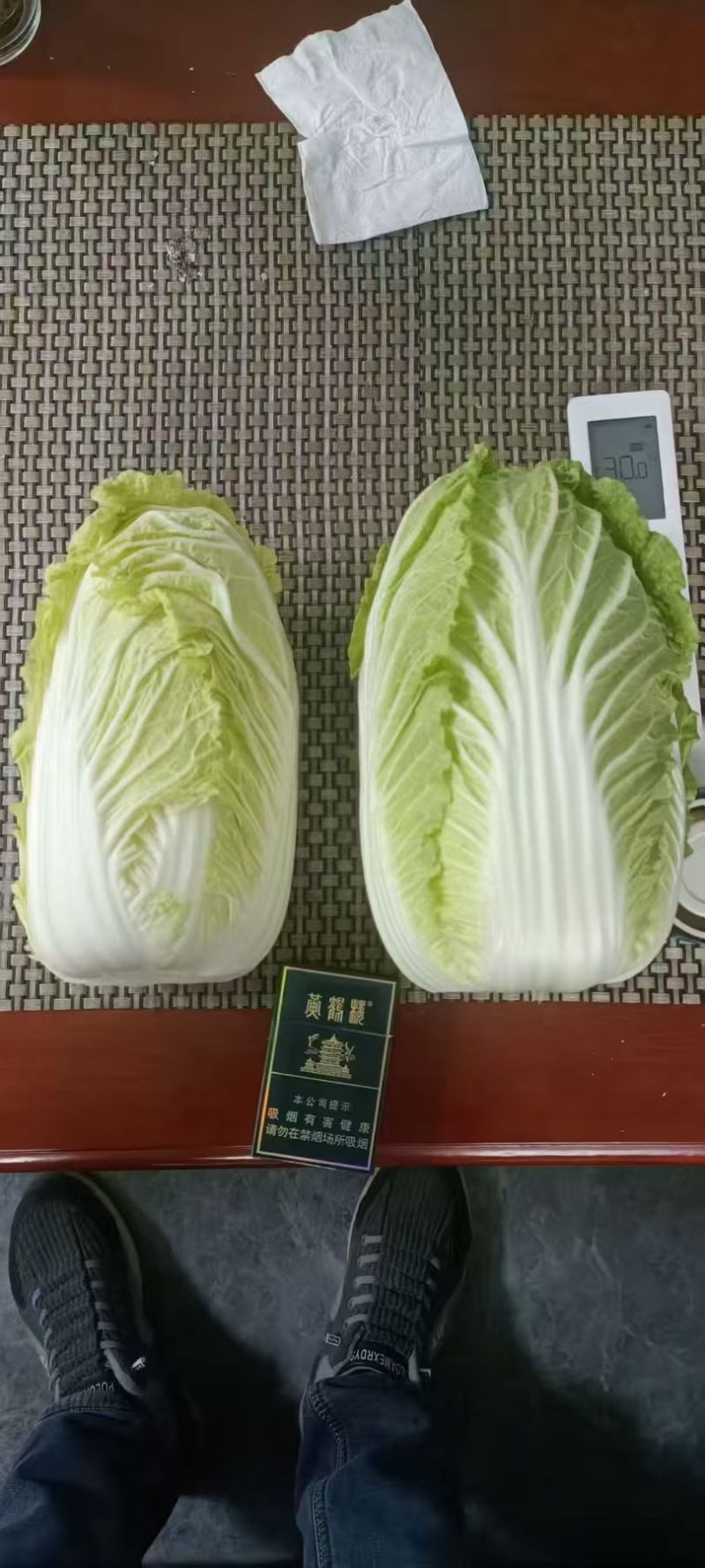 精品黄心大白菜产地发货质量保证诚信经营欢迎咨询