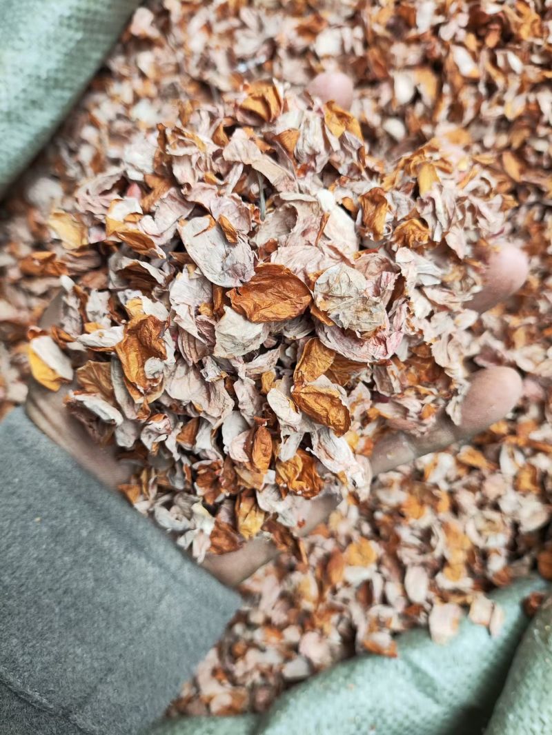 中药材花生衣新鲜大片红皮生剥红衣小片各种规格批发零售