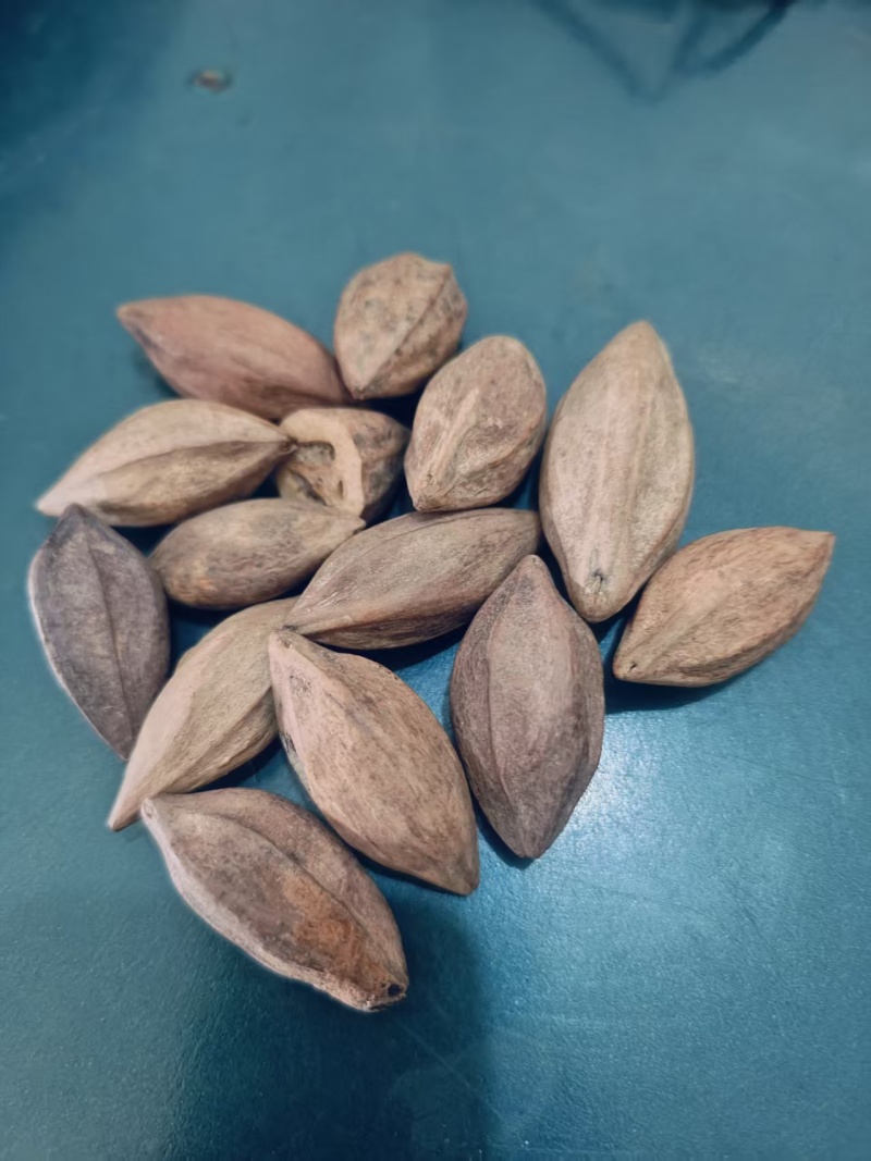 橄榄核橄榄核橄榄核通货云南边境地区货品