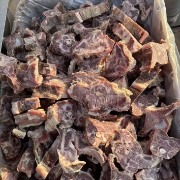 多肉羊蝎子