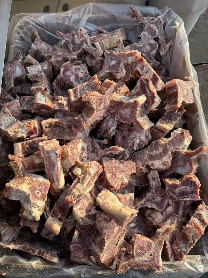 多肉羊蝎子