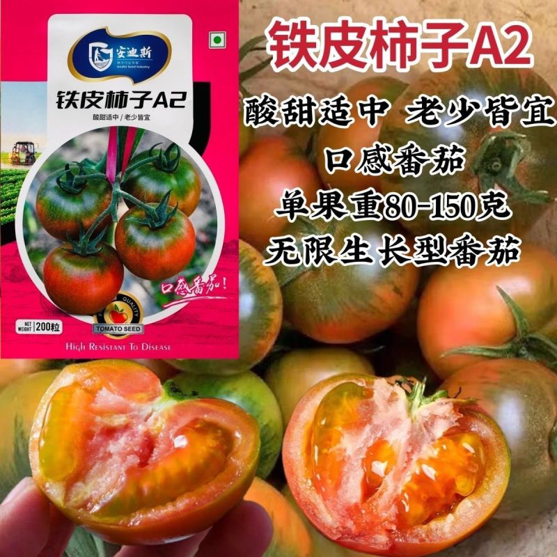 铁皮柿子A2番茄种子无限生长型番茄种子口感好酸甜适中番茄