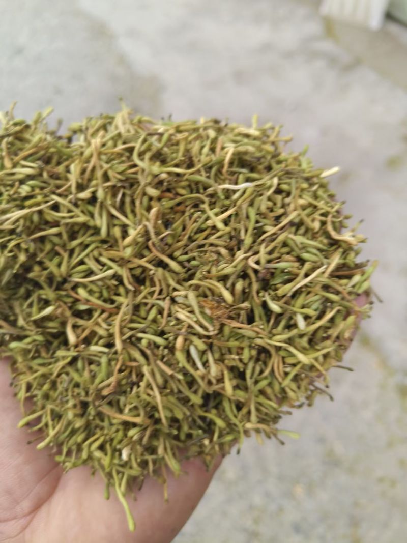野生金银花，黄金