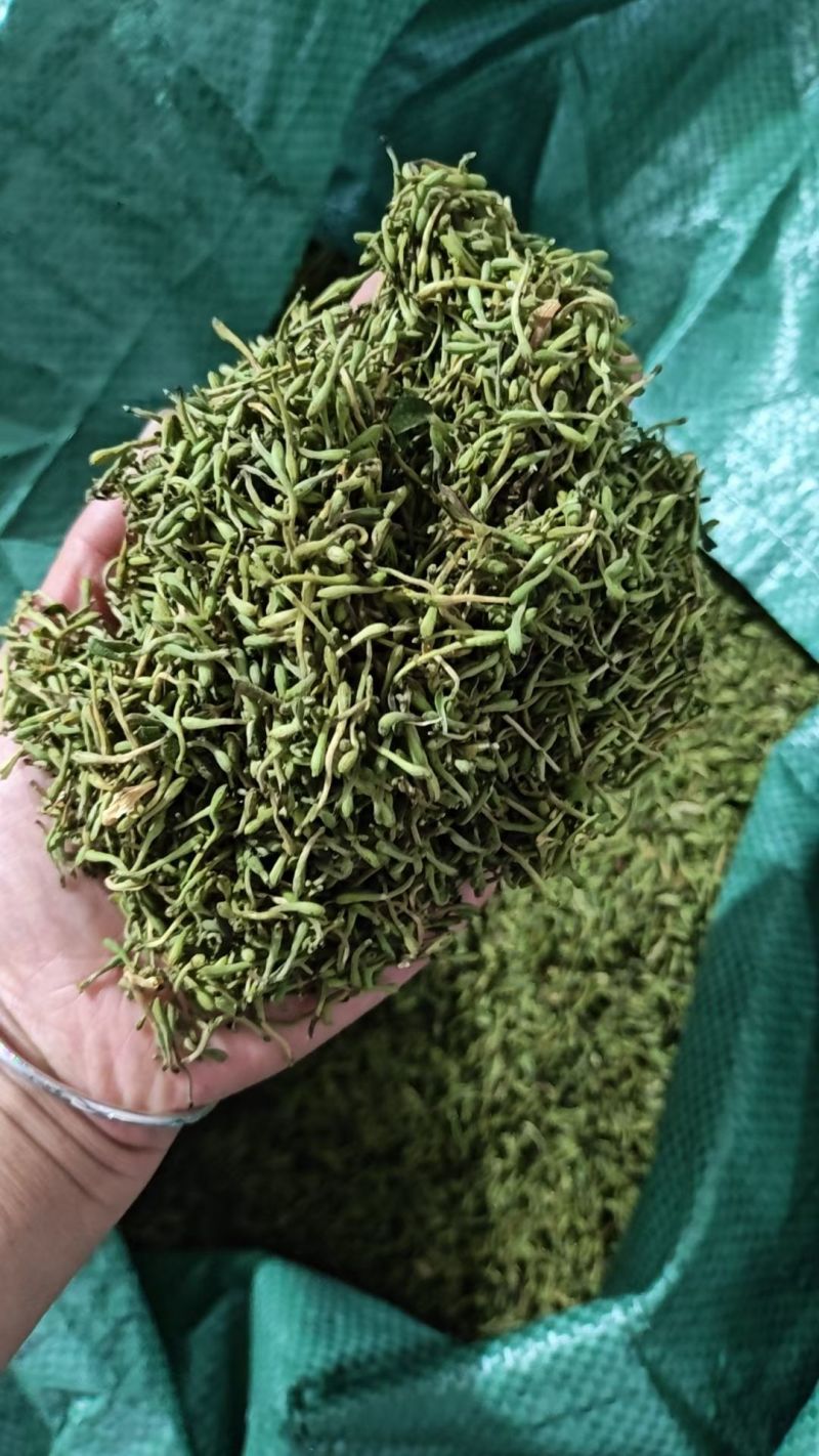 野生金银花，黄金