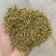 野生金银花，黄金