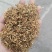 野生金银花，黄金