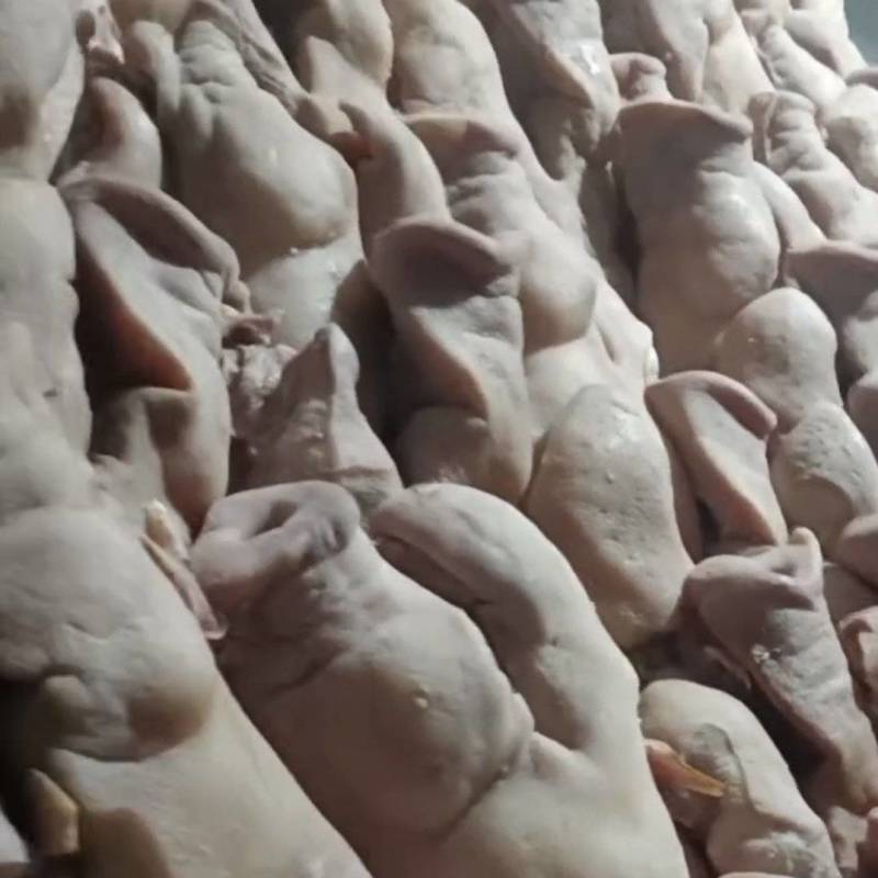 半成品猪头肉