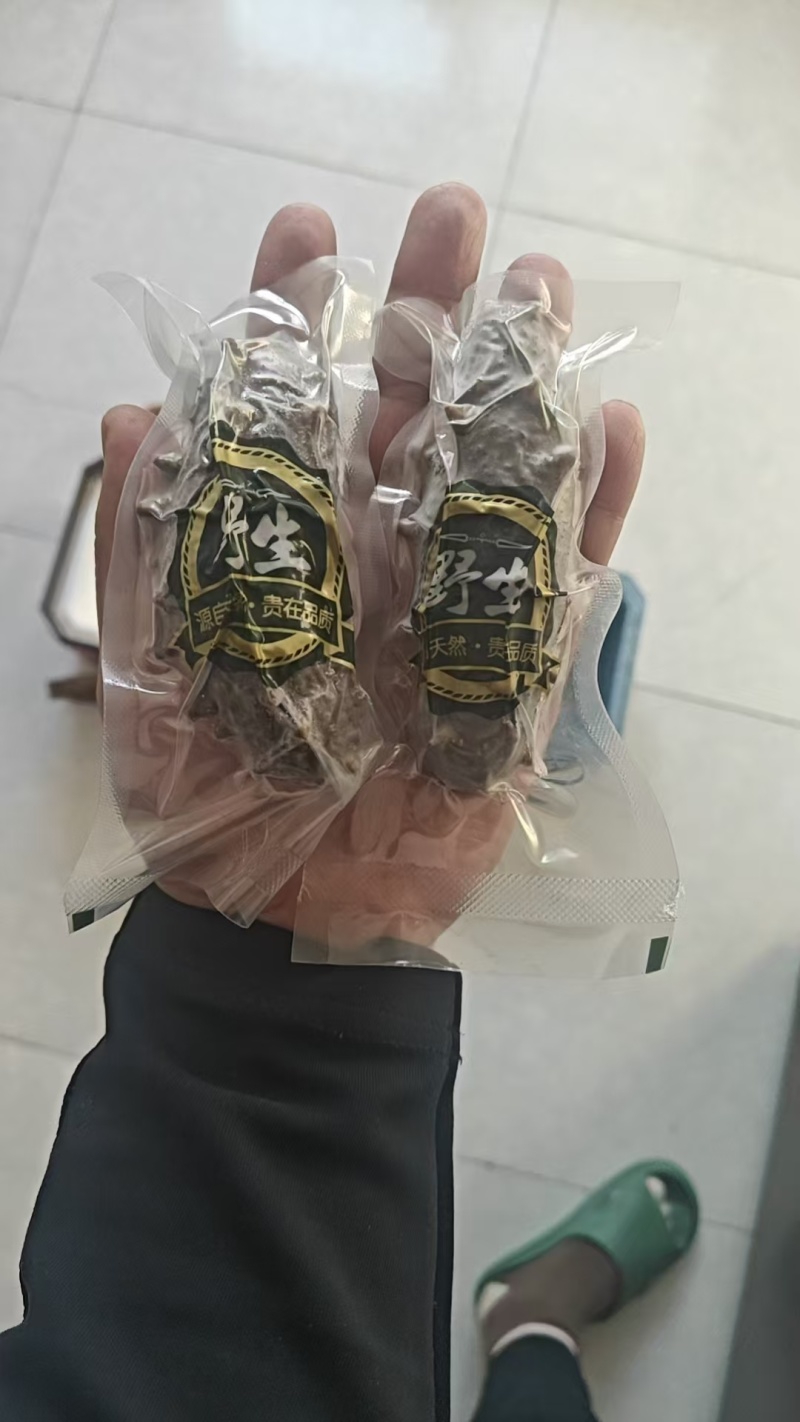 《精品海参》全国包邮量大从优保质保量全国发货真空包装