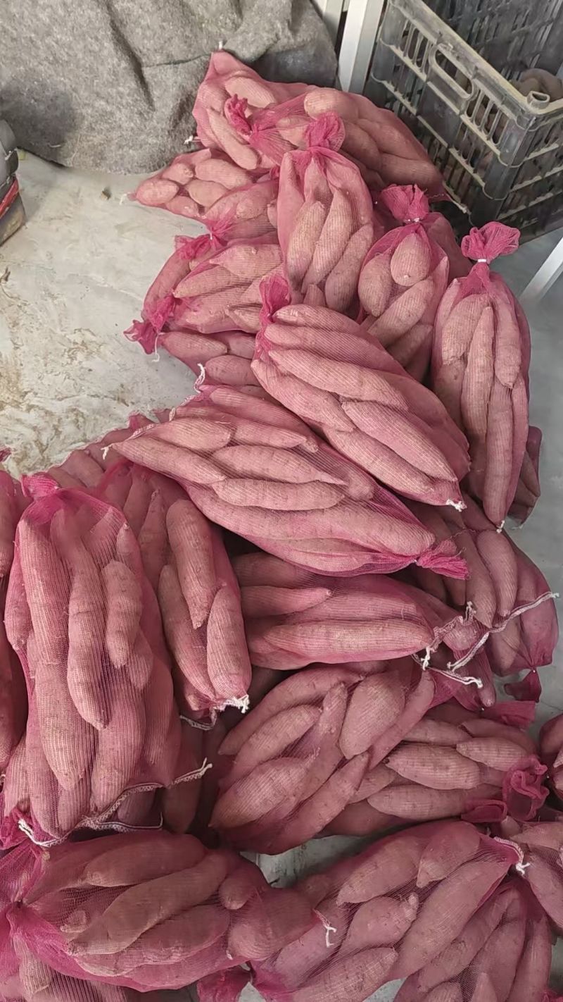 红瑶，榴莲蜜薯产地专业供市场，先联系，包满意