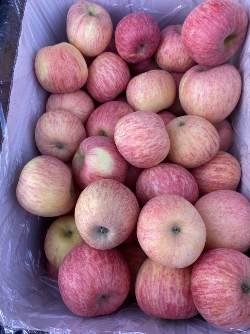 水晶红富士