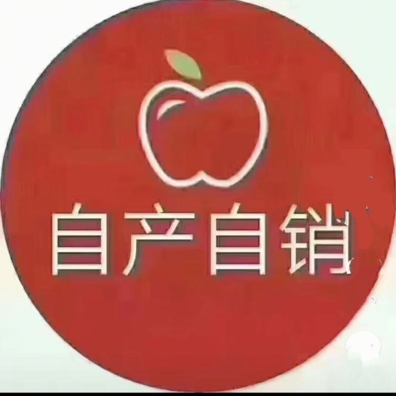 山西万荣精品红富士
