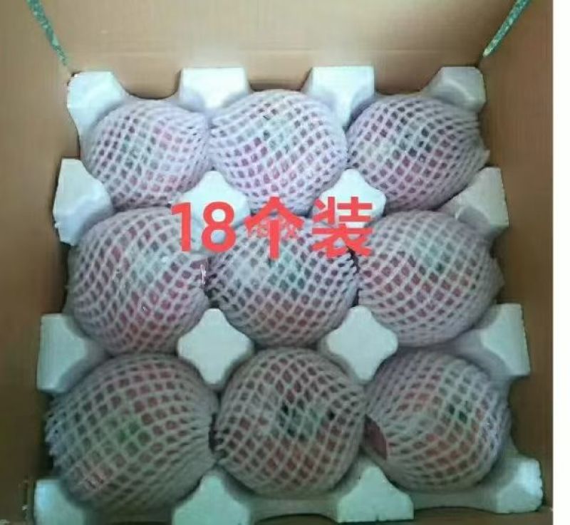 山西万荣精品红富士