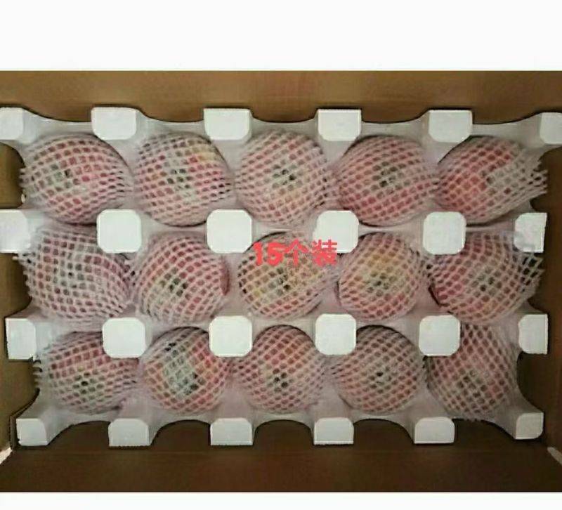 山西万荣精品红富士
