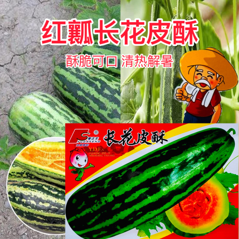 长花皮酥瓜种子超甜瓜种子香瓜种子梢瓜砍瓜羊角酥蜜水果甜瓜