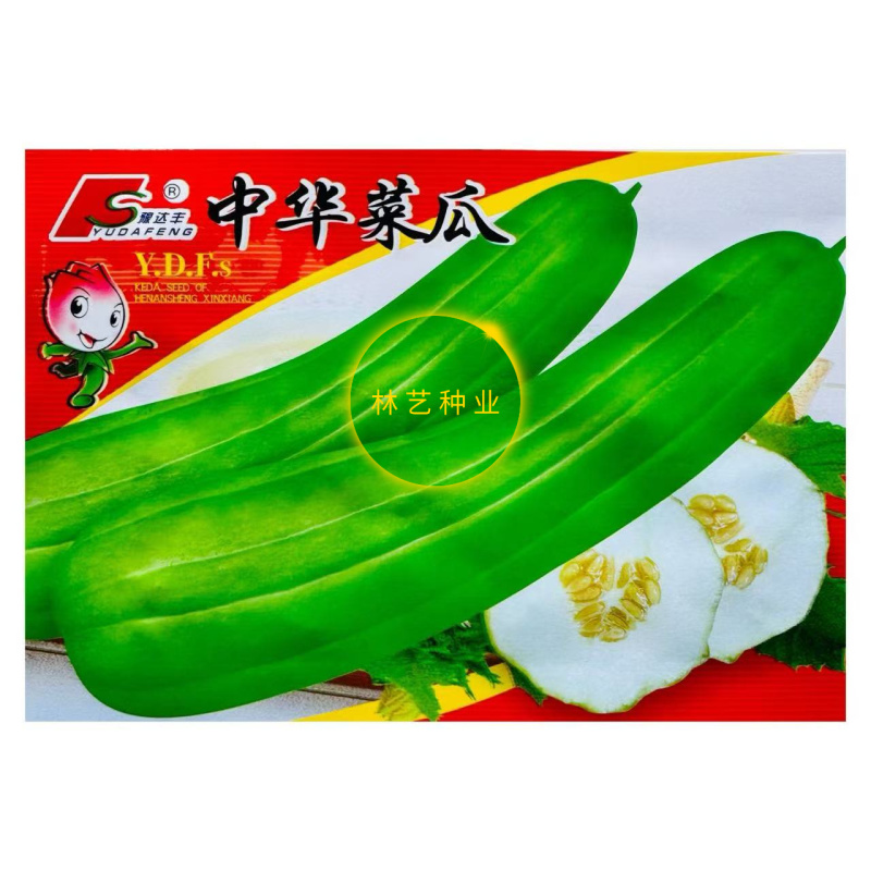 中华菜瓜种子生瓜脆瓜种子生吃凉拌腌制菜种子四季播农家蔬菜