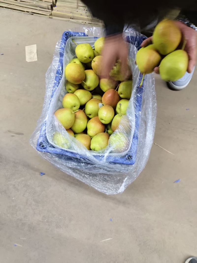 红香酥梨，皮薄多汁，无渣小核，产地直发