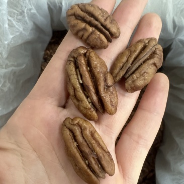 碧根果仁奶香味原味大量现货