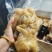酱香熟牛蹄