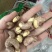 180紫衣腰果原味盐焗味大量现货一手货源量大价优