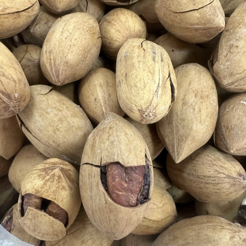 新疆纸皮碧根果奶香味