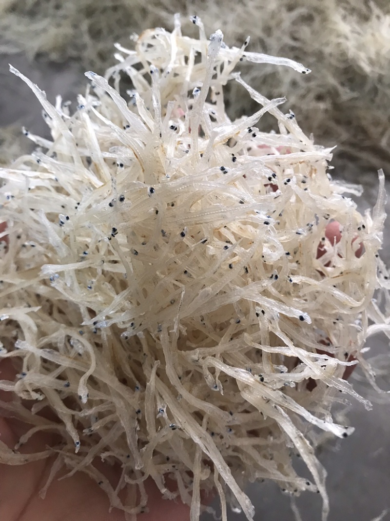 银鱼干4一5厘米干白直有要的联系莱西玉发水产部