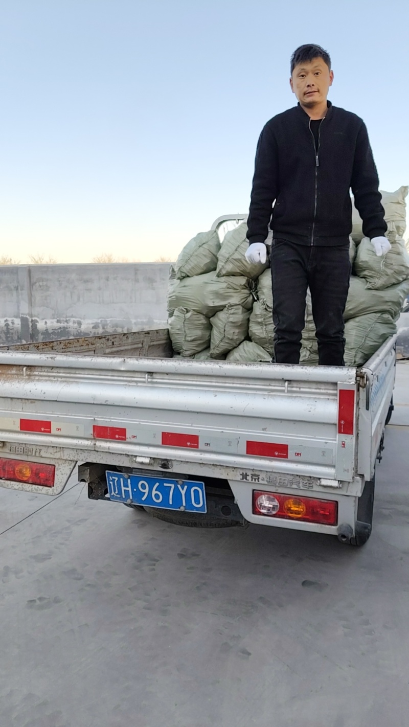 山东滨州真空包装鲜食玉米，开始放福利，降价处理，降价处理