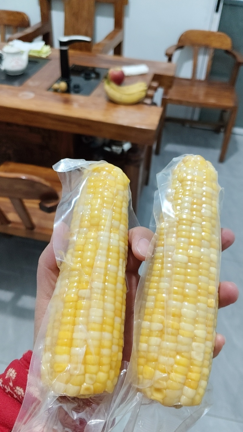 山东滨州真空包装鲜食玉米，开始放福利，降价处理，降价处理