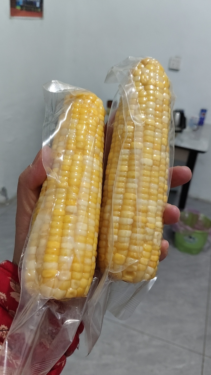 山东滨州真空包装鲜食玉米，开始放福利，降价处理，降价处理