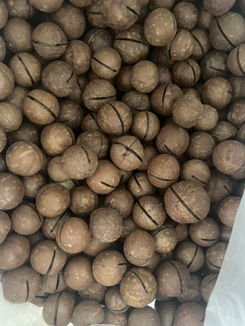 夏威夷果奶香味22-25大果