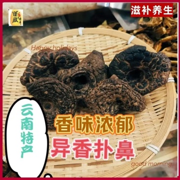 虎掌菌大货批发