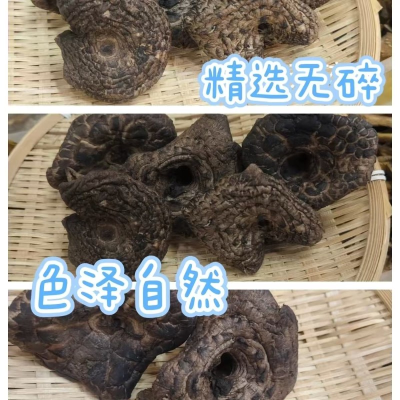 虎掌菌大货批发