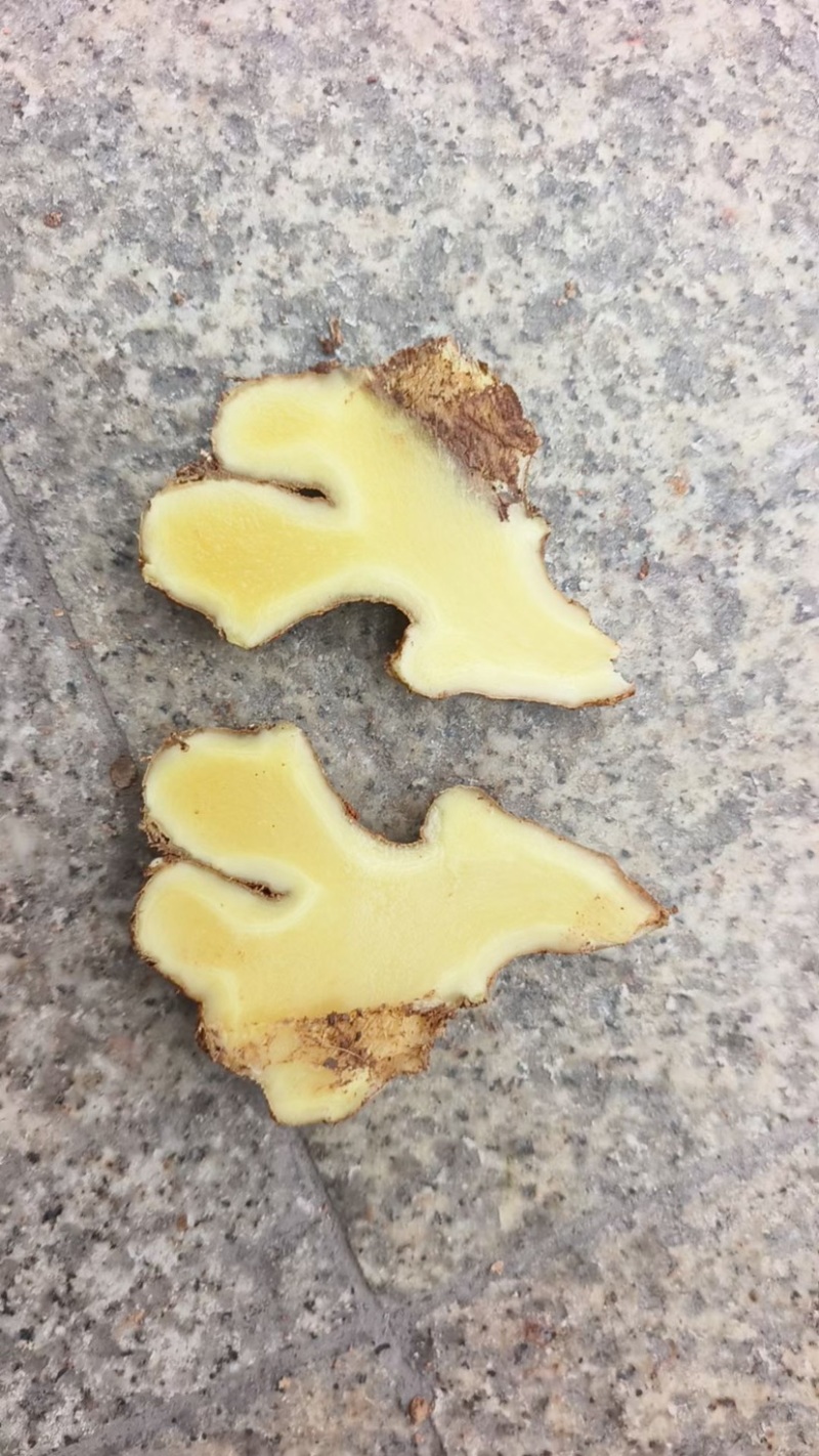 老姜老姜毛毛钱
