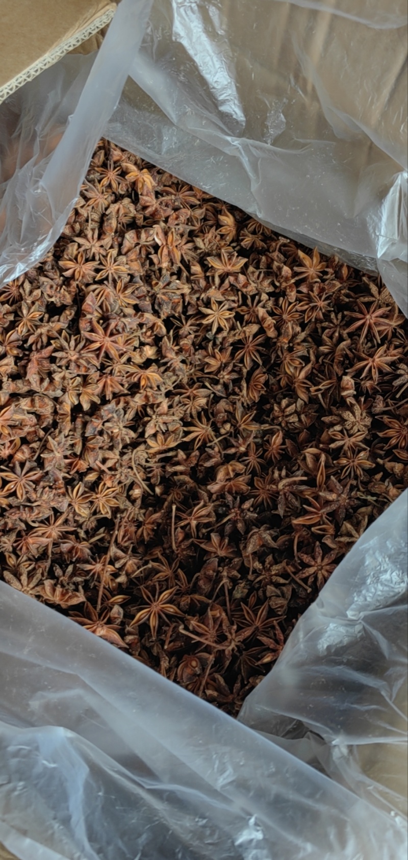 新货水烫无硫大红八角足干富宁八角百色大红八角带批次检