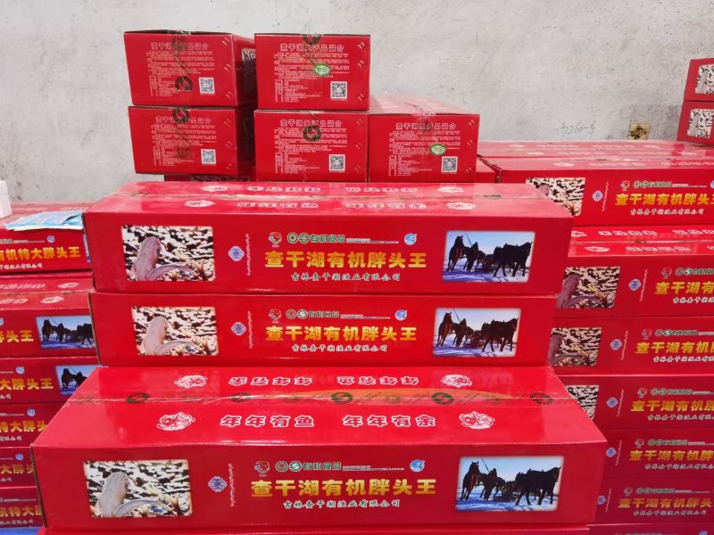 查干湖胖头鱼