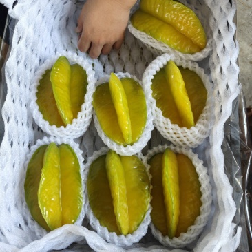 水果杨桃