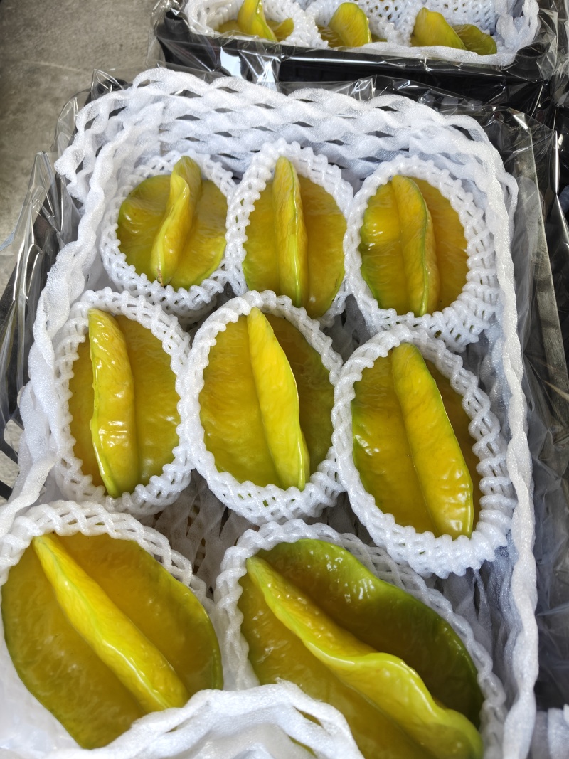 水果杨桃